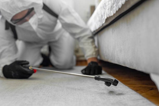 Professional Bed Bug Control technician working in Carbondale, PA