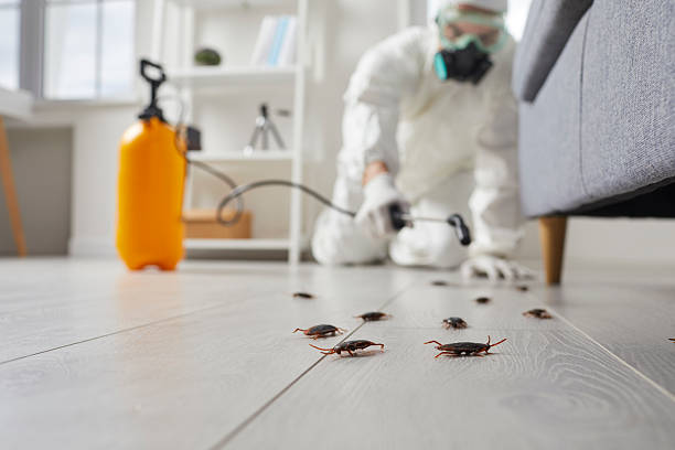 Trusted Cockroach Control service in Carbondale, PA - Nex Pest Control