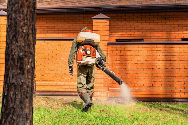 Trusted Ant Control service in Carbondale, PA - Nex Pest Control